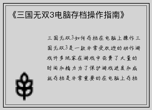 《三国无双3电脑存档操作指南》